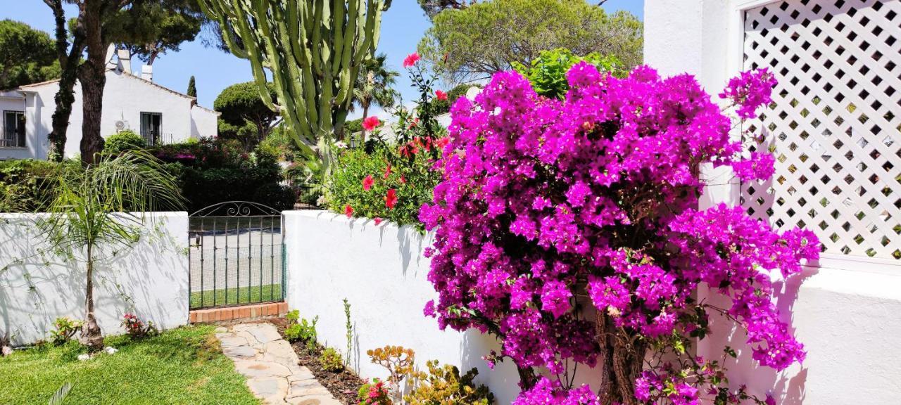 Apartamento Con Jardin Y Piscina En Playa Estepona Exterior photo